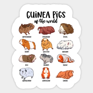 Guinea pigs of the world - Various kawaii guinea pigs Sticker